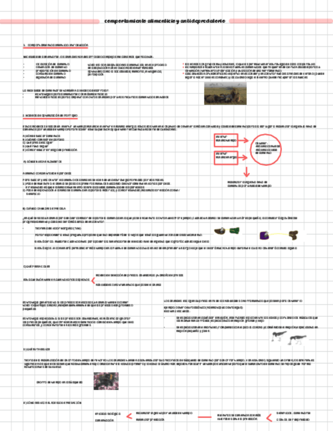 Miniatura del documento tema-6-etologia.pdf