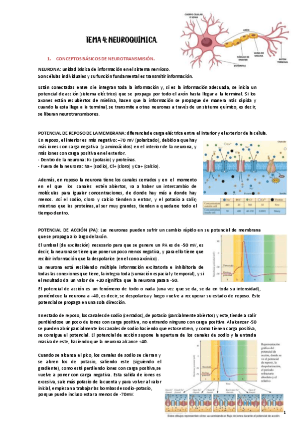 Miniatura del documento TEMA-4-PSICOFARMA.pdf