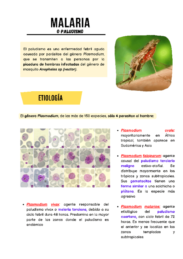 Miniatura del documento Malaria-Anopheles-albimanus.pdf