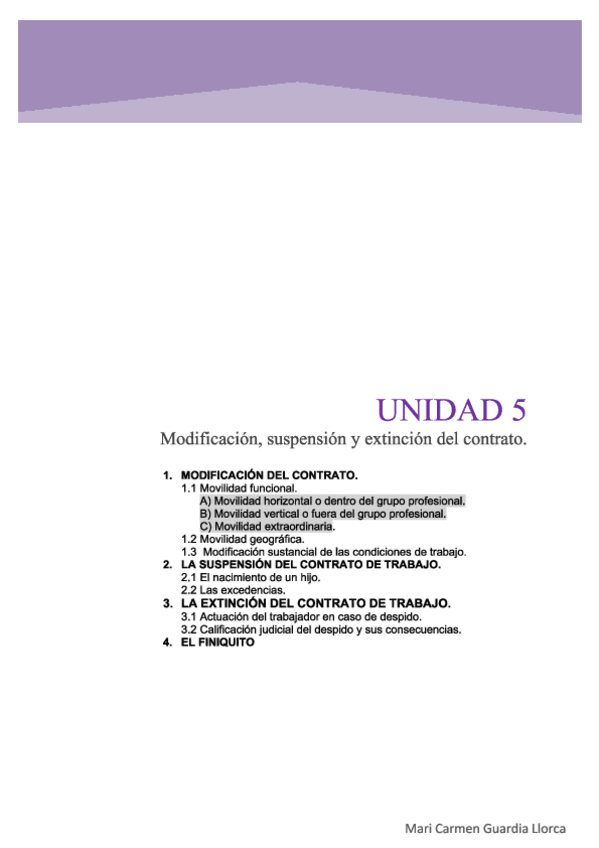 Miniatura del documento Tema-5.-Modificacion-suspension-y-extincion-del-contrato-de-trabajo.pdf