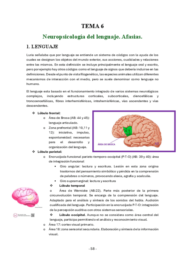 Miniatura del documento Tema-6-neuropsicologia-generalactualizados-23-24.pdf