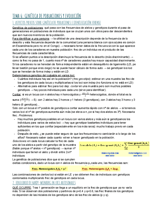 Miniatura del documento TEMA-6-GENETICA-DE-POBLACIONES-Y-EVOLUCION.pdf