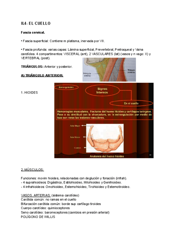 Miniatura del documento CUELLO-Y-EXTREMIDAD.pdf