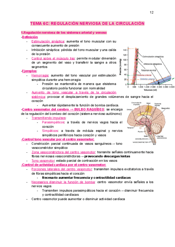Miniatura del documento tema6C-regulacion-nerviosa-de-la-ciruculacion.pdf