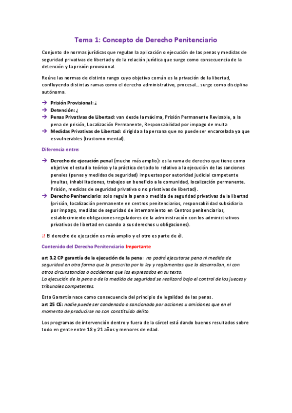 Miniatura del documento Derecho-penitenciario.docx.pdf