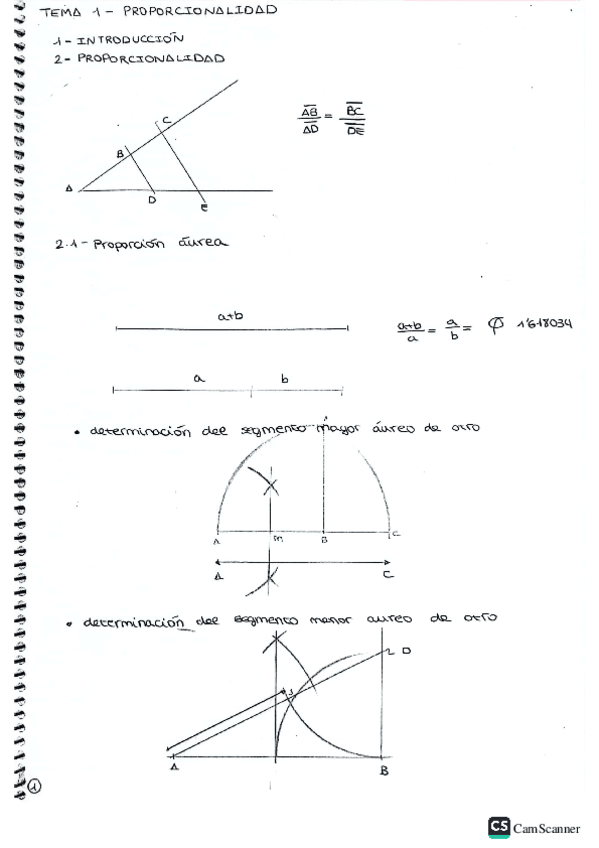 Miniatura del documento Tema-1-proporcionalidad.pdf