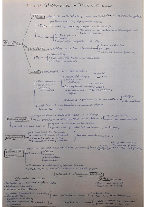 Miniatura del documento tema-11-esquema.pdf