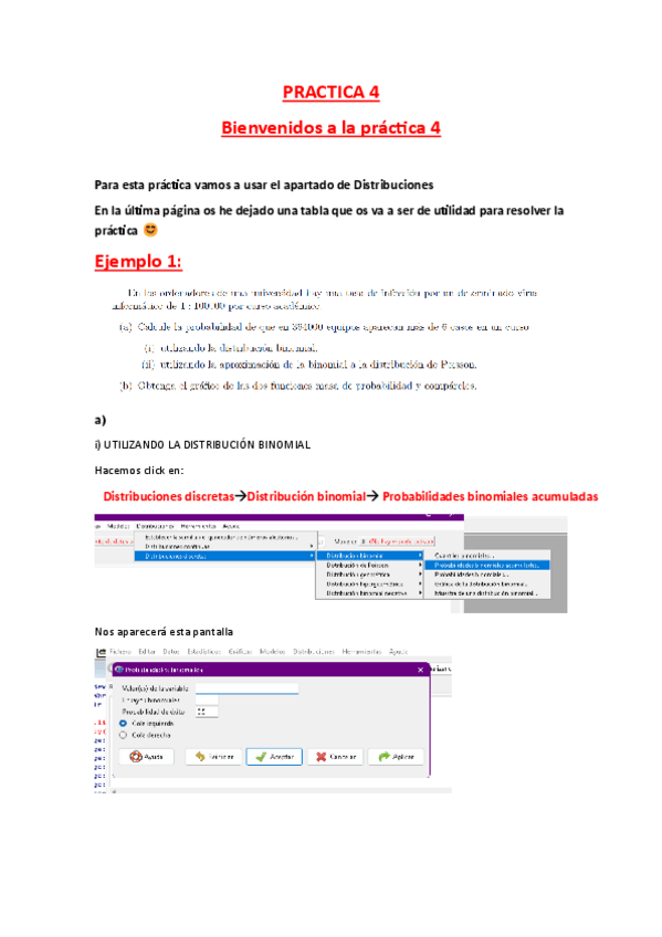 Miniatura del documento P4-EXPLICADA-PASO-A-PASO-CON-IMAGENES.pdf