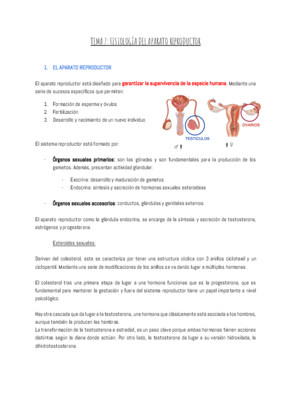 Miniatura del documento TEMA-7-FISIOLOGIA-DEL-APARATO-REPRODUCTOR.pdf