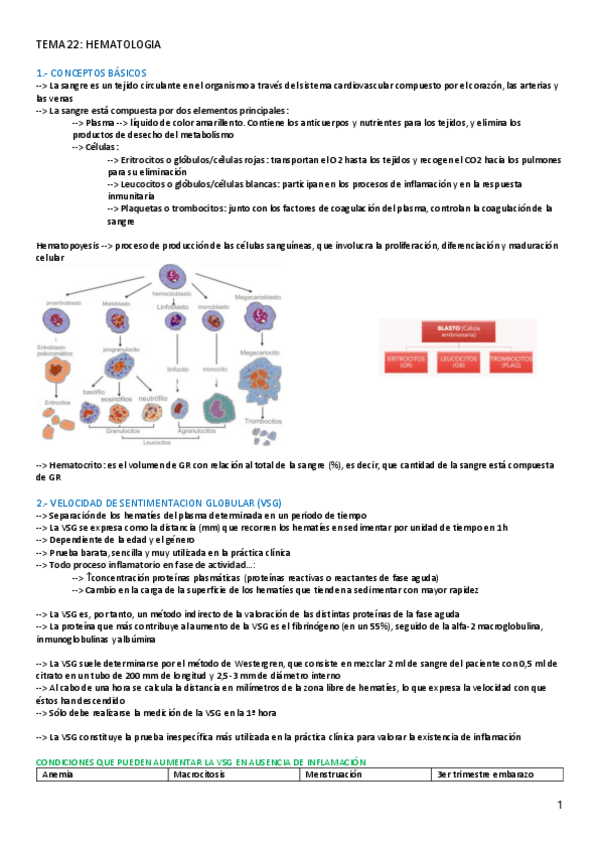 Miniatura del documento TEMA-22-AFECCIONES.pdf