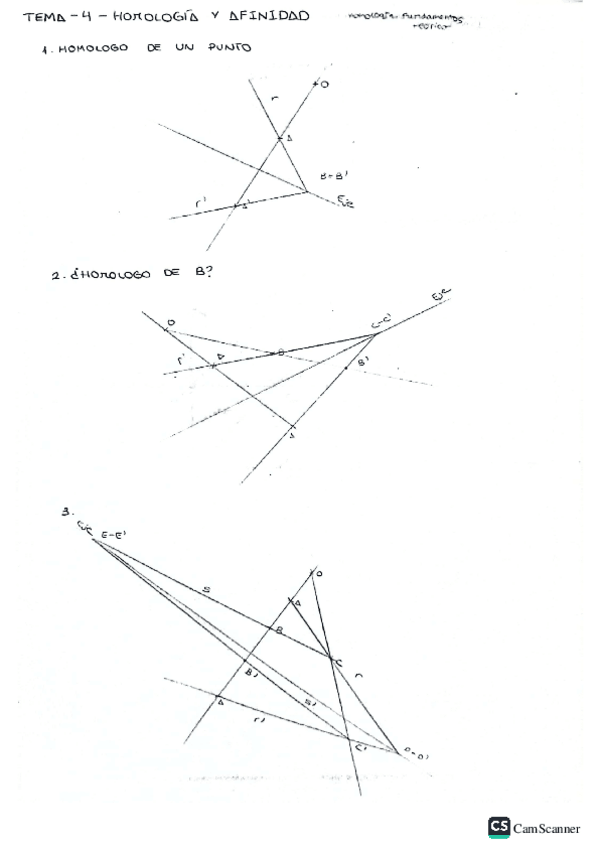Miniatura del documento Tema-4-homologia-y-afinidad.pdf