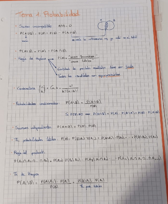 Miniatura del documento resumen-tema-1.pdf