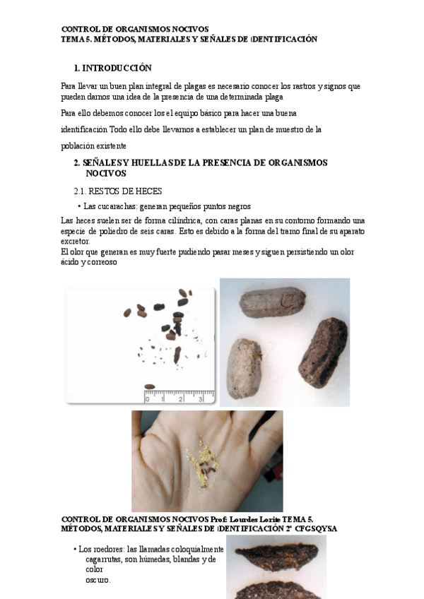 Miniatura del documento Tema-5.pdf