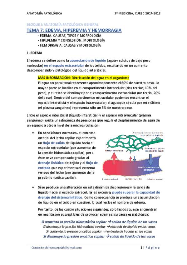 Miniatura del documento TEMA 07 - EDEMA- HIPEREMIA, CONGESTIÓN Y HEMORRAGIA.pdf