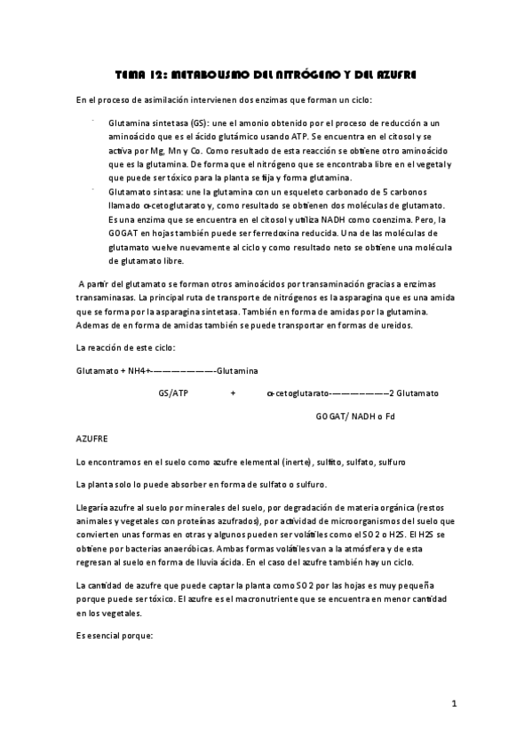 Miniatura del documento TEMA 12.pdf