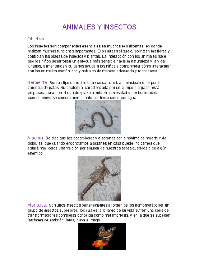 Miniatura del documento ANIMALES-Y-INSECTOS.pdf