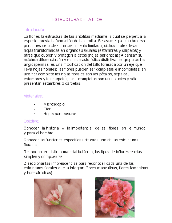 Miniatura del documento ESTRUCTURA-DE-LA-FLOR.pdf