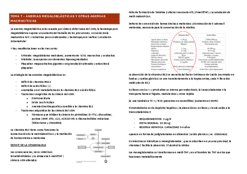 Miniatura del documento TEMA-7.pdf