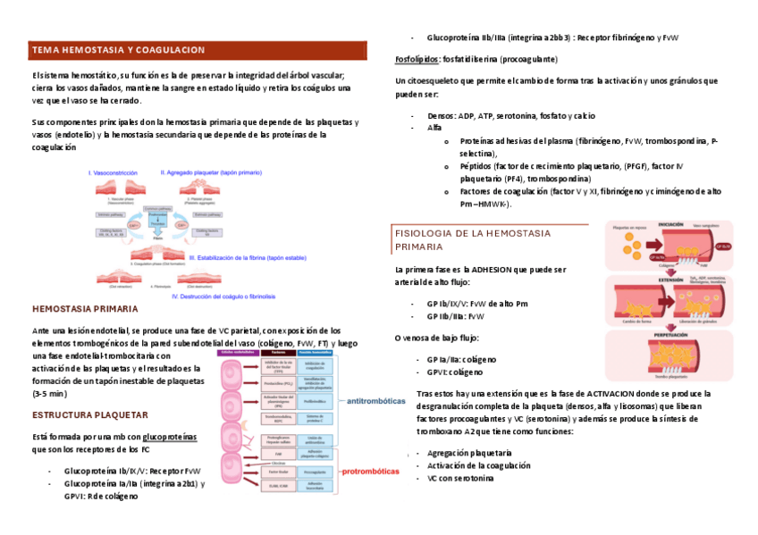 Miniatura del documento TEMA-INICIO.pdf