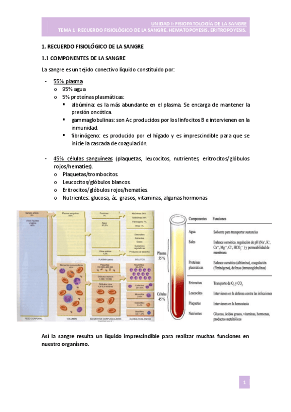 Miniatura del documento TEMA-1-SANGRE.pdf
