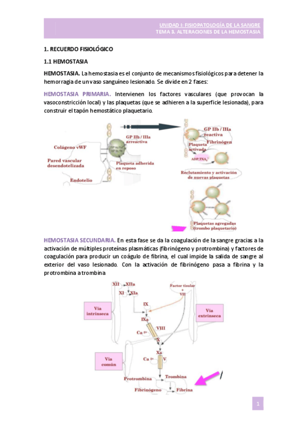 Miniatura del documento TEMA-3-HEMOSTASIA.pdf