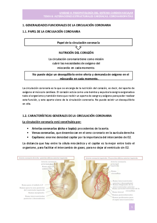 Miniatura del documento TEMA-6-CORONARIOPATIAS.pdf