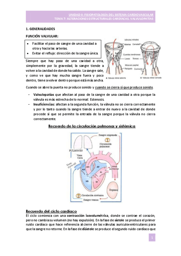 Miniatura del documento TEMA-7-VALVULOPATIAS.pdf