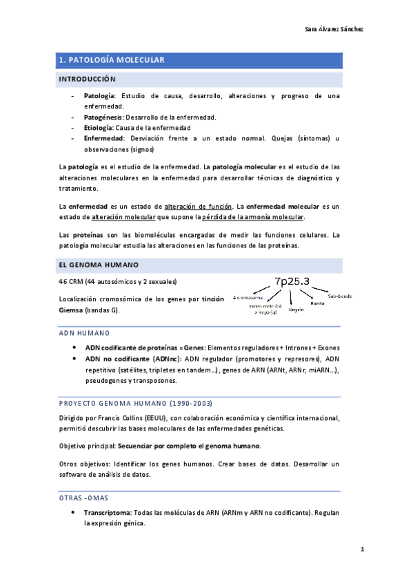 Miniatura del documento Apuntes-Bases.pdf