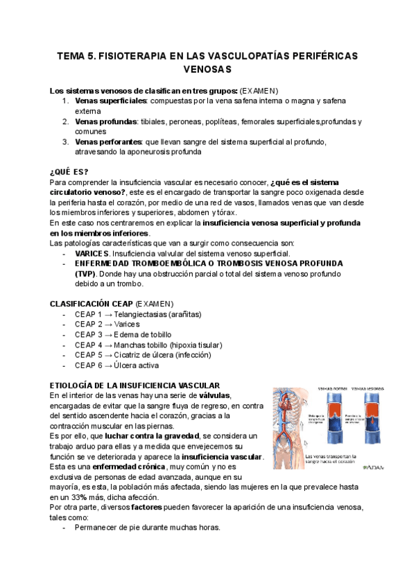 Miniatura del documento TEMA-5.pdf
