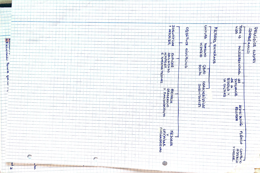 Miniatura del documento Esquema-2.jpg