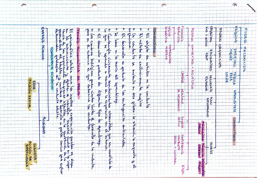 Miniatura del documento 4.jpg