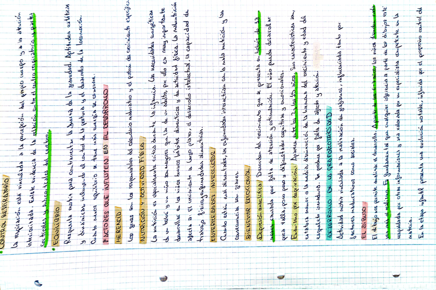 Miniatura del documento 7.jpg