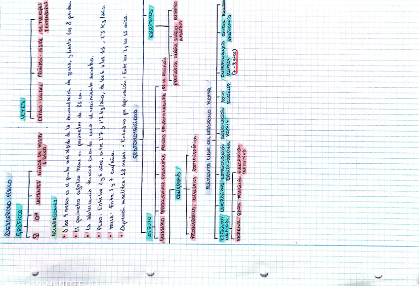 Miniatura del documento Esquema.jpg