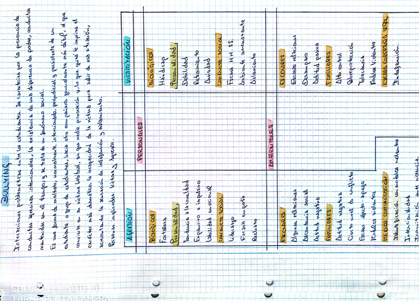 Miniatura del documento Bullying.jpg