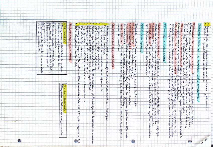 Miniatura del documento 4.jpg