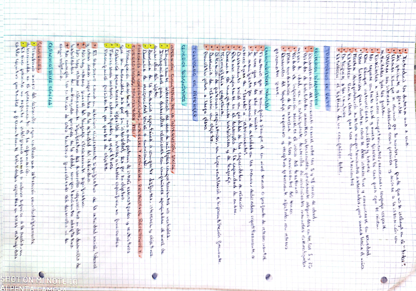 Miniatura del documento 2.jpg