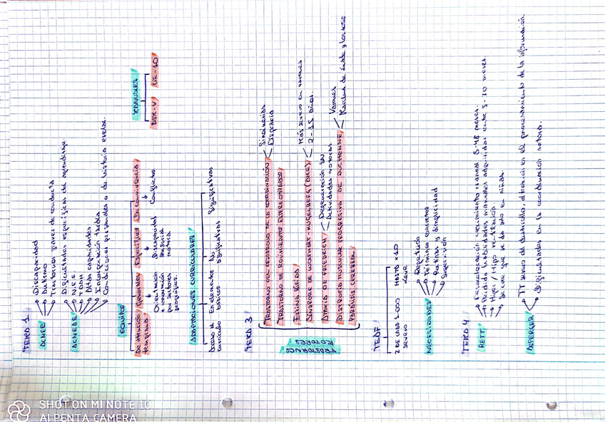 Miniatura del documento Esquema-Completo-1.jpg