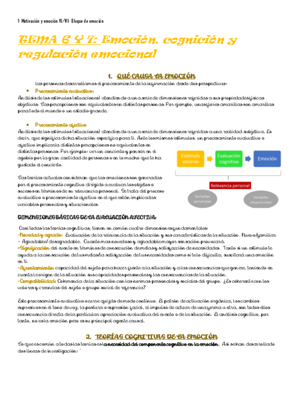 Miniatura del documento tema-6-y-7-Emocioncognicion-y-regulacion-emocinal.pdf