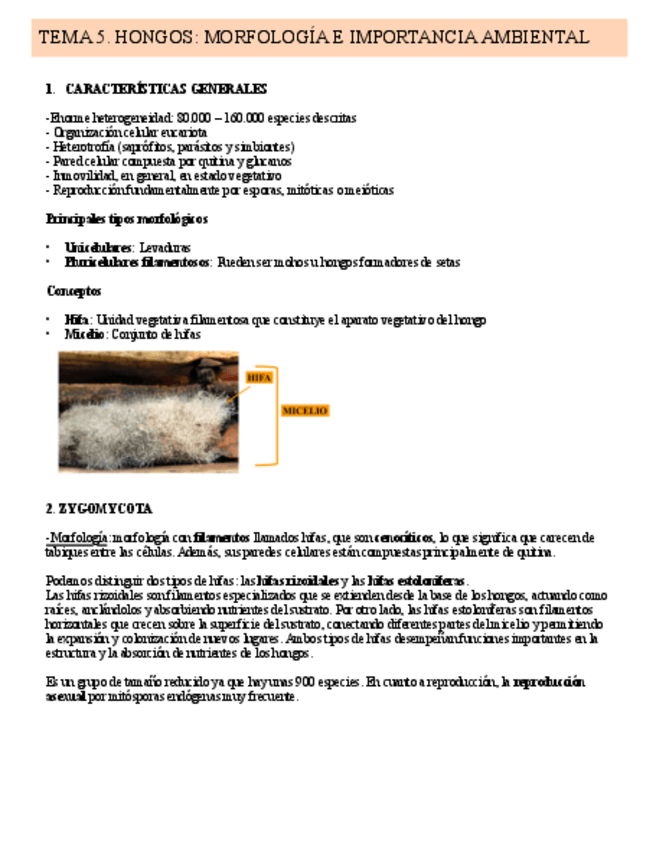 Miniatura del documento TEMA-5.-HONGOS.pdf