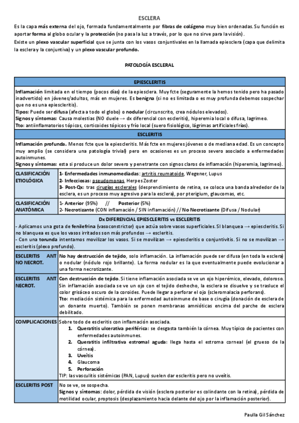 Miniatura del documento ESCLERA.pdf
