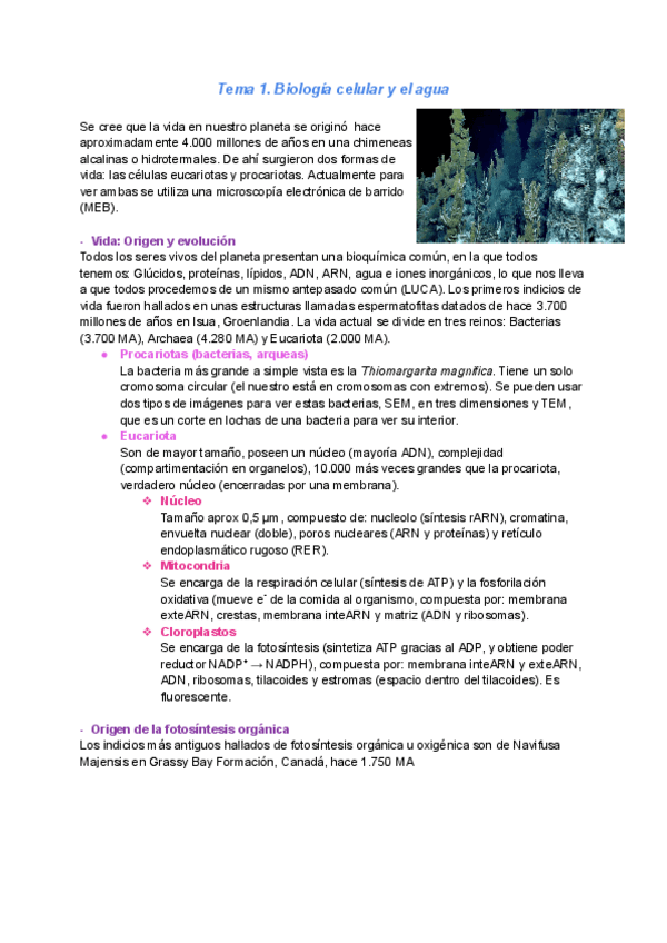 Miniatura del documento 1er-parcial.pdf