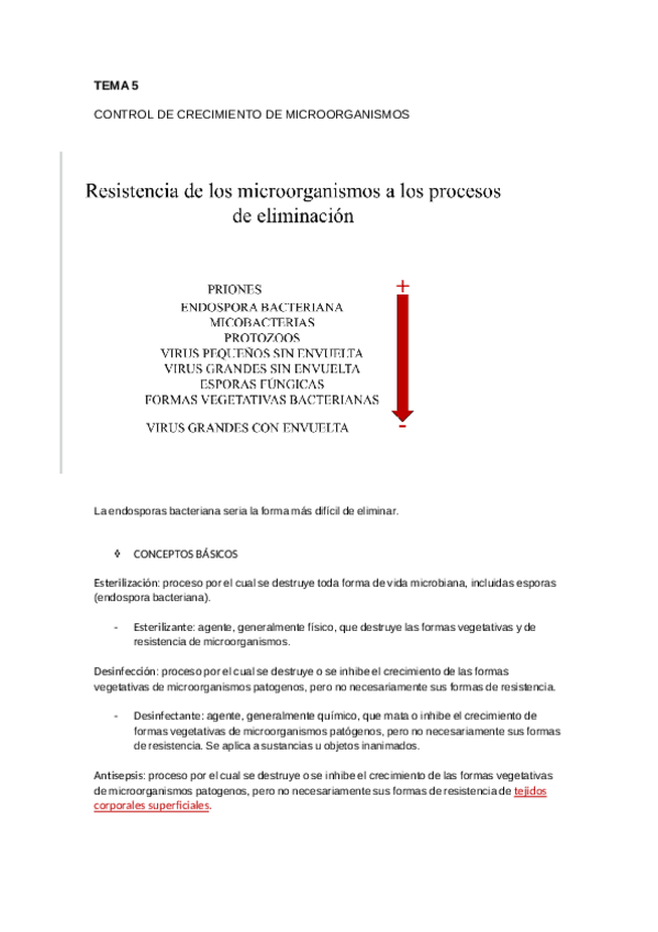 Miniatura del documento TEMA-5-AL-TEMA-7.pdf
