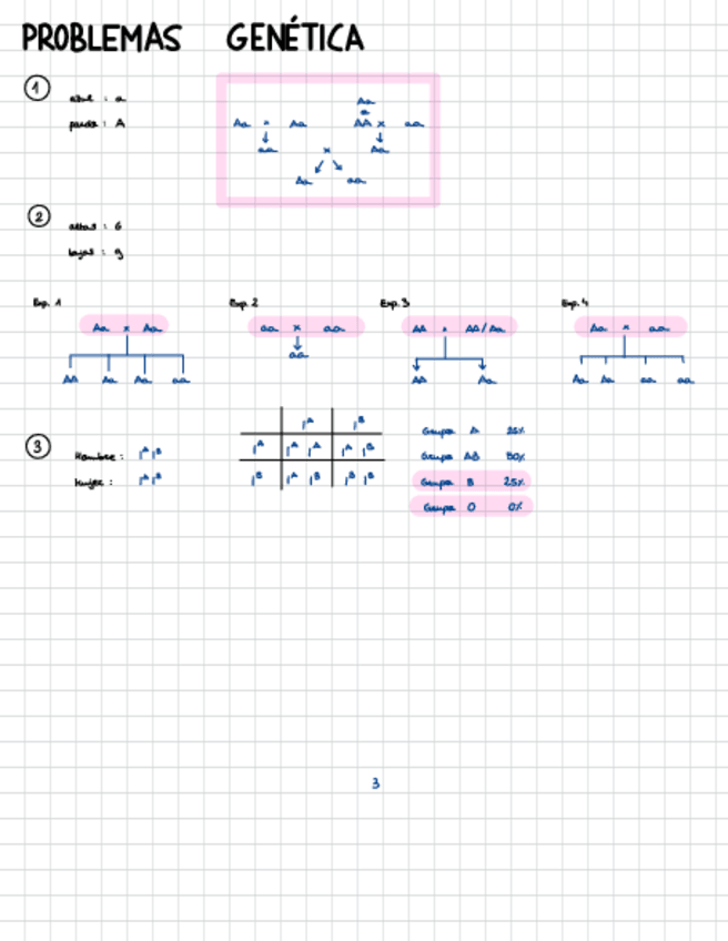 Miniatura del documento Problemas-genetica-RESUELTOS.pdf