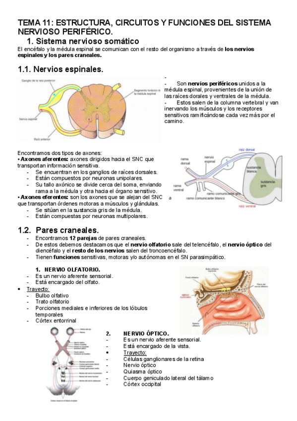 Miniatura del documento TEMA-11.pdf