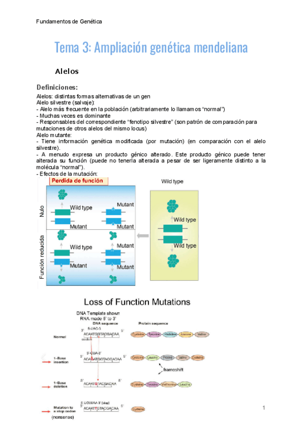 Miniatura del documento tema-3-genetica.pdf