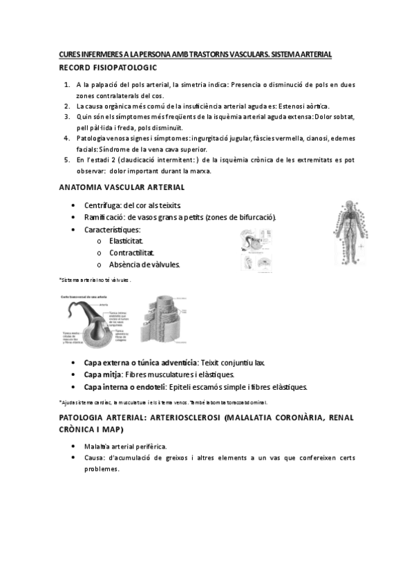 Miniatura del documento SISTEMA-ARTERIOVASCULAR.pdf