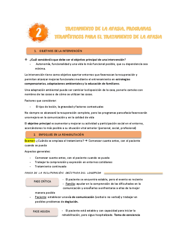 Miniatura del documento TEMA-2-INTEV-EN-AFASIAS.pdf