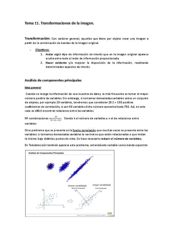 Miniatura del documento Tema-11.-Teledeteccion.pdf