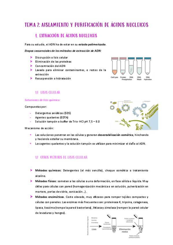 Miniatura del documento Tema-2-metodos.pdf