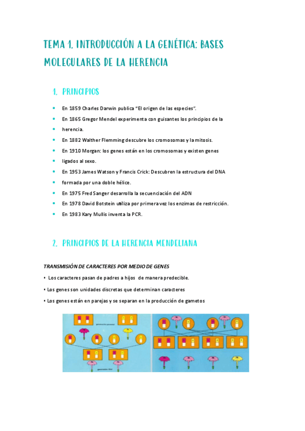 Miniatura del documento TEMA-1-genetica.pdf